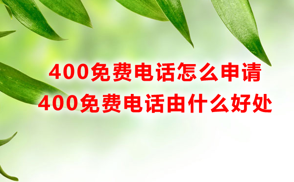 400免費電話號碼怎么申請